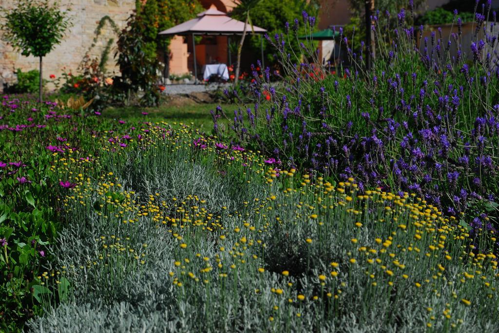 Agriturismo Coppi Rossi Torrazza  Eksteriør billede